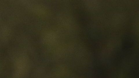 En el estado e Washington un empleado de USCIS fue detectado con el virus.