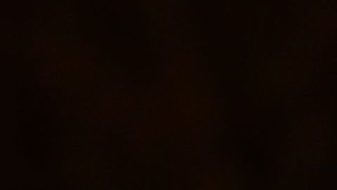 Manifestantes suben a la tribuna en un evento de Joe Biden en el Súper Martes en Los Ángeles.