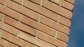 La universidad a la acudía el hijo del abogado también está en alerta.