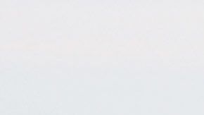 El presidente del equipo quiere que los jugadores vuelvan a trabajar de forma habitual.