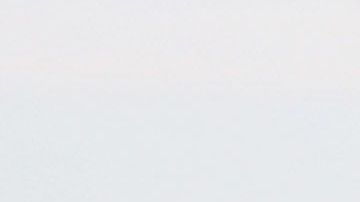 El presidente del equipo quiere que los jugadores vuelvan a trabajar de forma habitual.