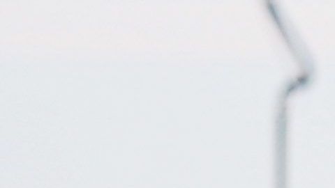 El presidente del equipo quiere que los jugadores vuelvan a trabajar de forma habitual.