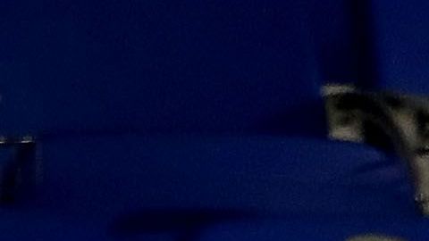 Ulsan Hyundai v FC Tokyo - AFC Champions League Group F