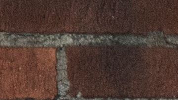 Un estudiante en el campus de la universidad UCLA en Westwood, donde tres estudiantes  están siendo examinados para el COVID-19.