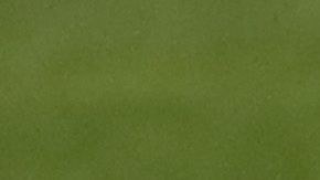 El Brescia marchaba en el último lugar de la tabla general al momento de la suspensión de la liga italiana.