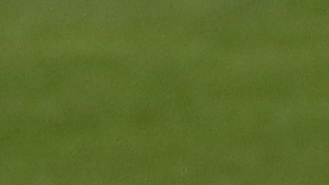El Brescia marchaba en el último lugar de la tabla general al momento de la suspensión de la liga italiana.