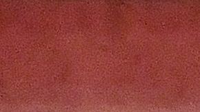 Ángel Di María fue uno de lo jugadores más eufóricos.