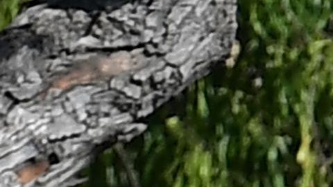 Esta escena habitual se dejará de ver en muchos estados en los próximos días.