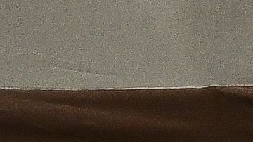 Hay casos en 49 estados y el Distrito de Columbia.