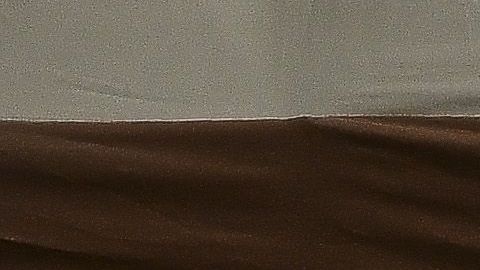 Hay casos en 49 estados y el Distrito de Columbia.