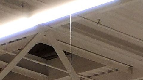 Agotados los rollos de papel higiénico en el supermercado.