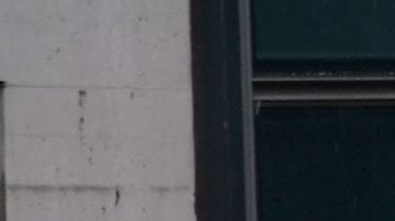 Elementos de la Guardia Nacional en el Jacob Javits Center.