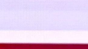 El senador Bernie Sanders y el exvicepresidente Joe Biden.