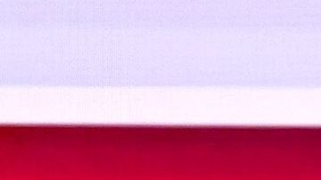 El senador Bernie Sanders y el exvicepresidente Joe Biden.