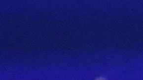 El senador Bernie Sanders y el exvicepresidente Joe Biden lideran la contienda demócrata.