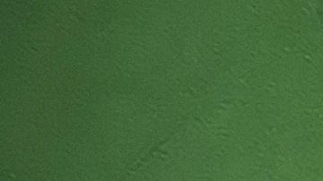 La cobertura de un seguro para los Juegos Olímpicos es 14 veces inferior a las estimaciones del costo total.