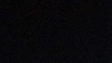 Yankees confía en que 2020 puede ser su año.