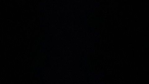 El multimillonario aseguró el fin de semana que preocuparse por el COVID-19 era asunto de tontos.