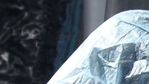 De las pruebas realizadas, entre el 10 y 11% son positivas.