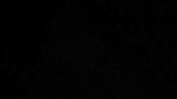 Joe Biden salió victorioso en los tres estados en juego.