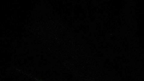 Joe Biden salió victorioso en los tres estados en juego.