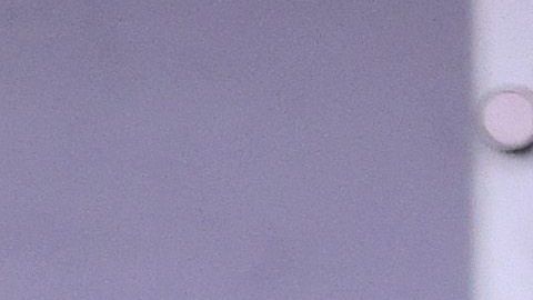 El plan del presidente Trump de 15 días termina el 30 de marzo.