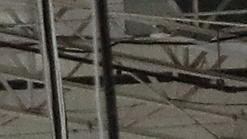 El mejor horario para hacer compras es durante las primeras horas hasta el mediodía.