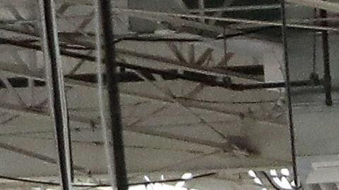 El mejor horario para hacer compras es durante las primeras horas hasta el mediodía.