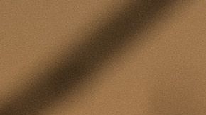 Los atletas estadounidenses optan por la suspensión.