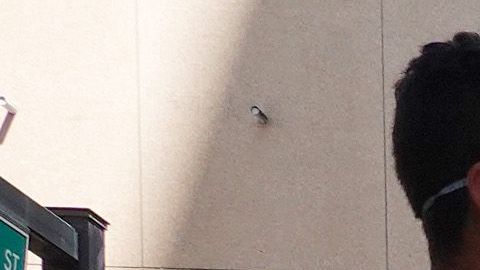 En emergencia debes estar alerta de los estafadores  que siempre buscan aprovecharse de los más vulnerables.
