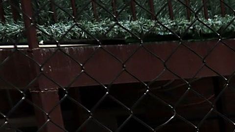 Imagen ilustrativa de un judío ortodoxo en una calle de Nueva York.