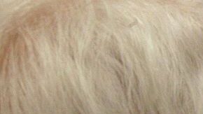 En casa puedes crear un ambiente igual al de la oficina.