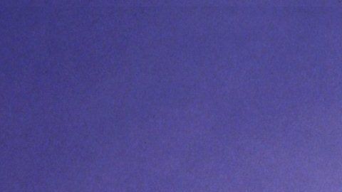 La velocista estadounidense dejó una huella profunda en el mundo del deporte.