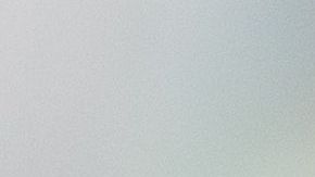 Las autoridades estatales piden a la población que identifiquen bien a los sapos y que no los confundan con los nativos de Florida.