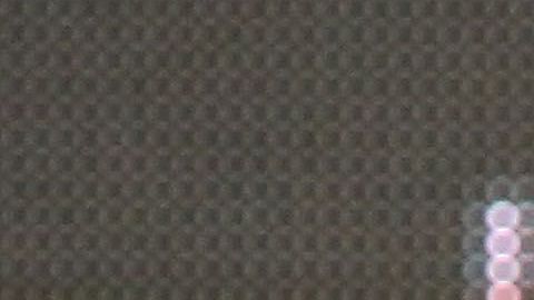 Kendall y Kylie Jenner