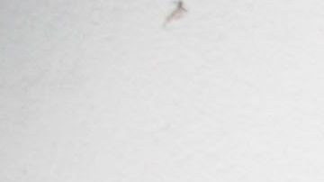 El barrio de Wynwood se ha convertido en un centro artístico, cultural y de entretenimiento en Miami.