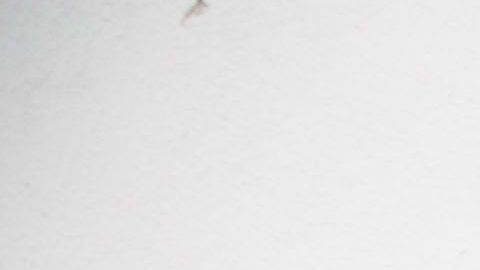 El barrio de Wynwood se ha convertido en un centro artístico, cultural y de entretenimiento en Miami.