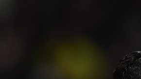 Cristiano Ronaldo y el brasileño Marcelo cuando coincidieron en el Real Madrid.