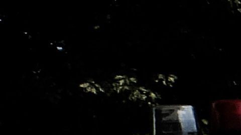 El NYDP investiga los hechos.