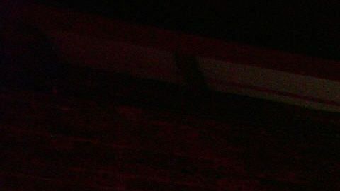 Una bailarina en un club de striptease.