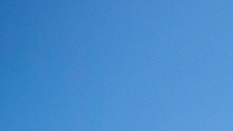 Canal Todo Americano.