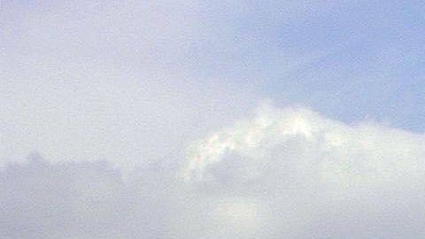 Existe un amplio movimiento de supremacistas blancos en EEUU.