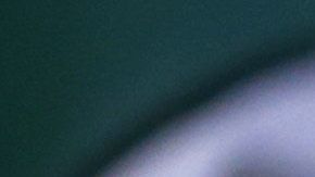 Justin Trudeau y su esposa, Sophie, están en cuarentena.