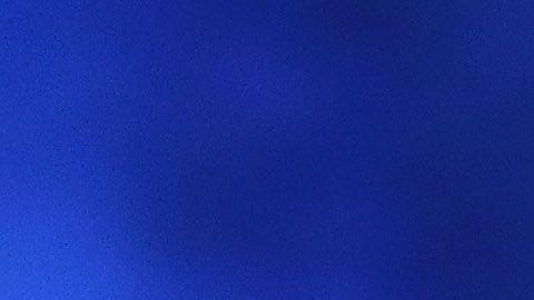 Dana White, del UFC,  entre Mayweather y McGregor.