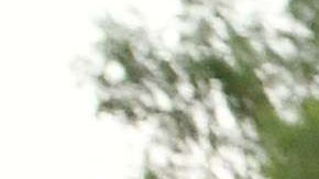 Miles de protecciones a "dreamers" expirarán las próximas semanas.