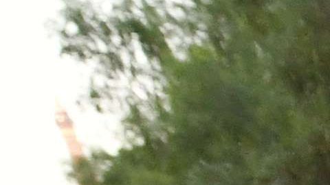 Miles de protecciones a "dreamers" expirarán las próximas semanas.