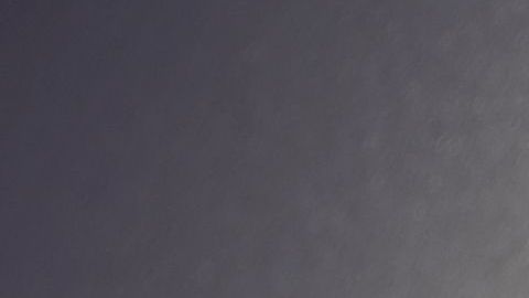 Los buzones públicos, escaleras mecánicas y los botones de cajeros automáticos también guardan grandes cantidades de gérmenes y virus.