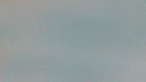 Primer caso confirmado en el beisbol profesional