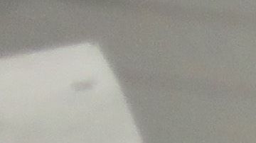 ICE reporta a cuatro inmigrantes con COVID-19.