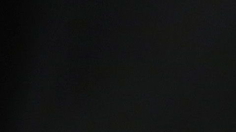 Los casos de deportaciones también se retrasan en cortes.